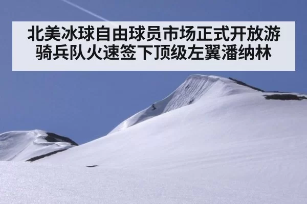 北美冰球自由球员市场正式开放游骑兵队火速签下顶级左翼潘纳林