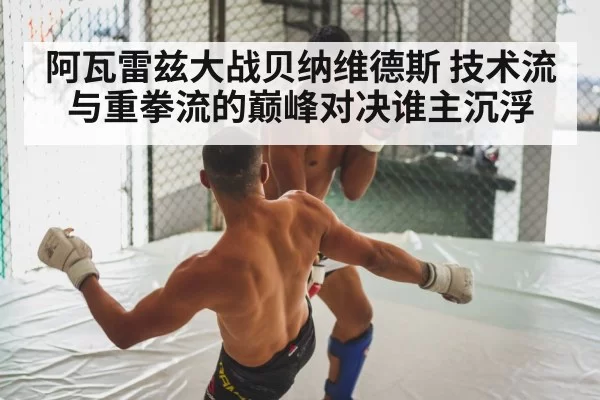 阿瓦雷兹大战贝纳维德斯 技术流与重拳流的巅峰对决谁主沉浮